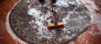 Carpet Shampoo Cleaning